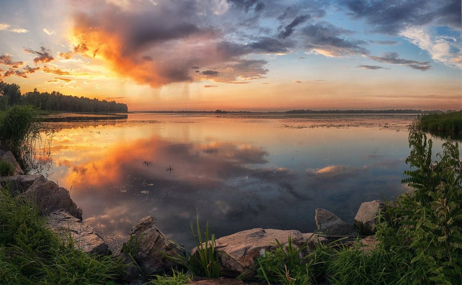 , Андрей Жила