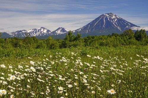 На Камчатке лето