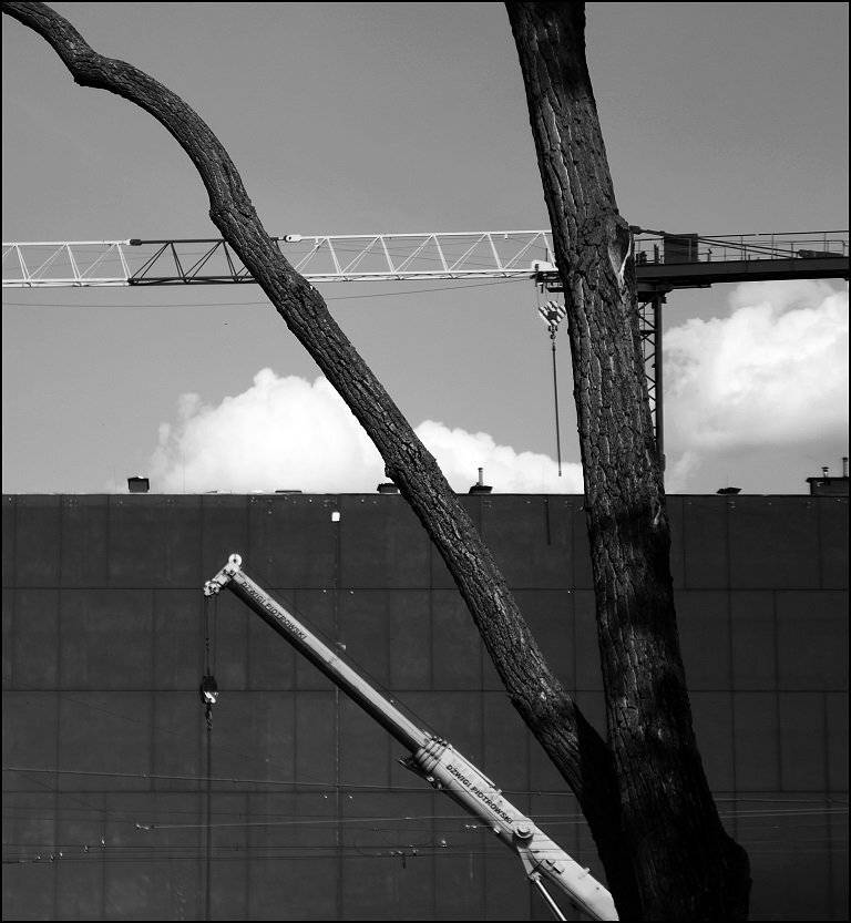 , Krzysztof Trojanowski