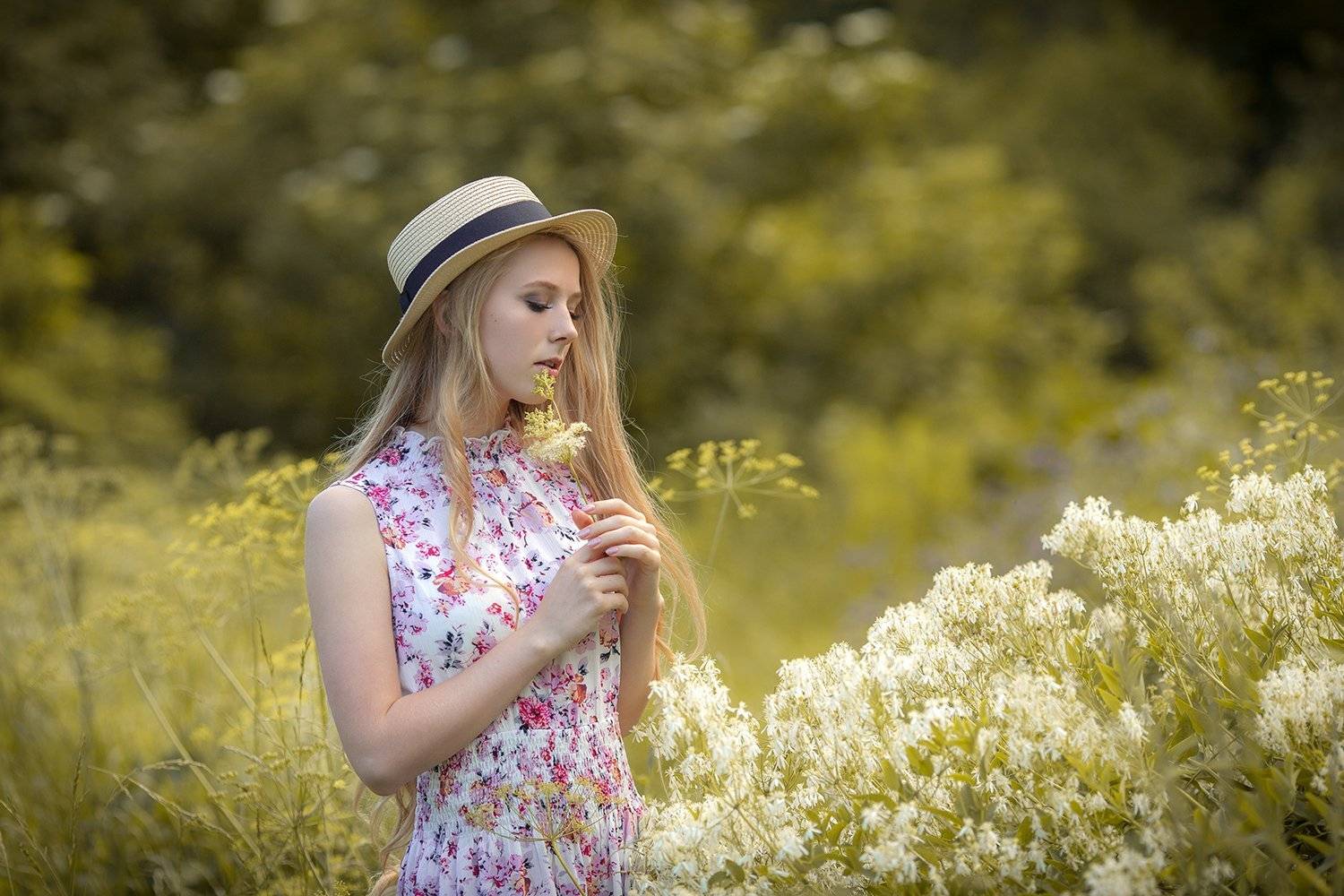 , Денис Котов