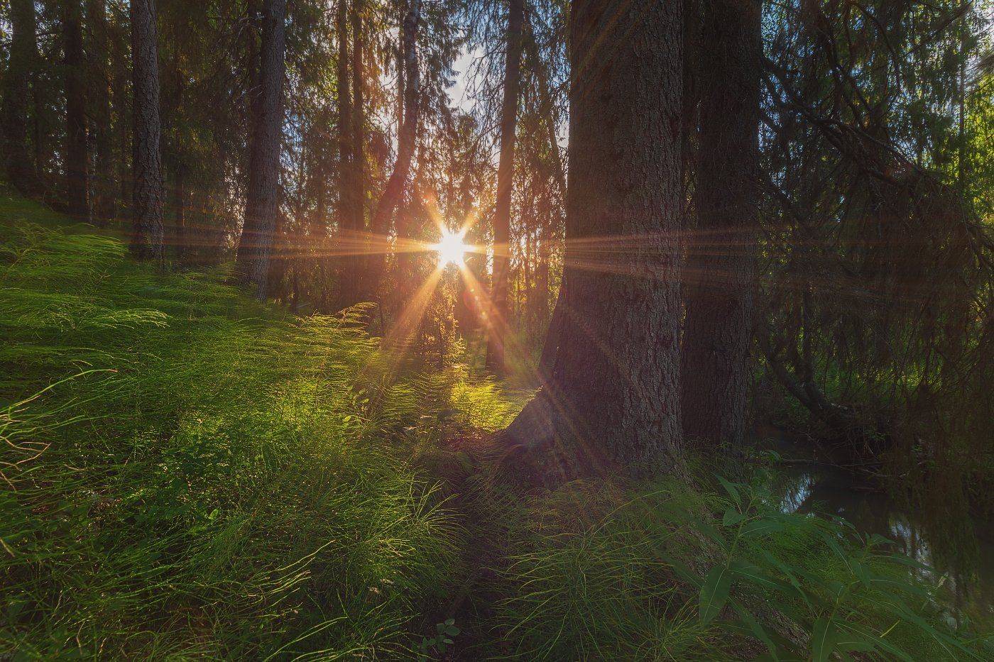 , Игорь Подобаев