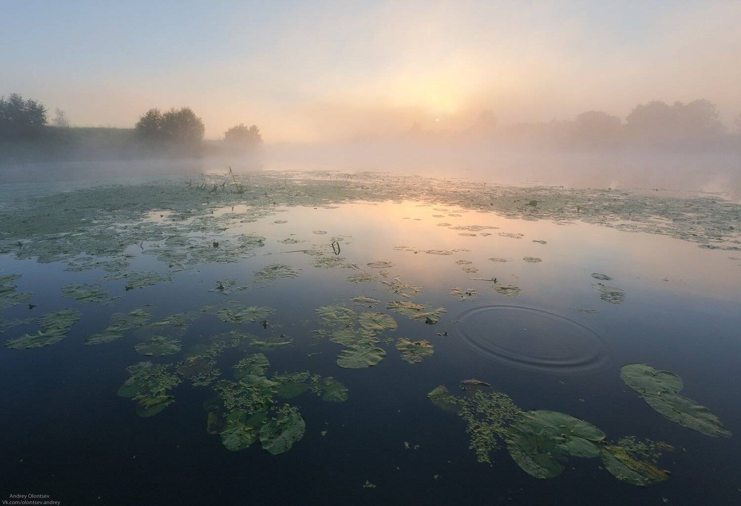 солнце, россия, рассвет, природа, подмосковье, погода, пейзажи, пейзаж, отражение, наукоград, красота, дубна, вода, весна, weather, water, spring, russia, reflection, naukograd, nature, moscow, landscape, dawn, canon dubna, beauty, Андрей Олонцев