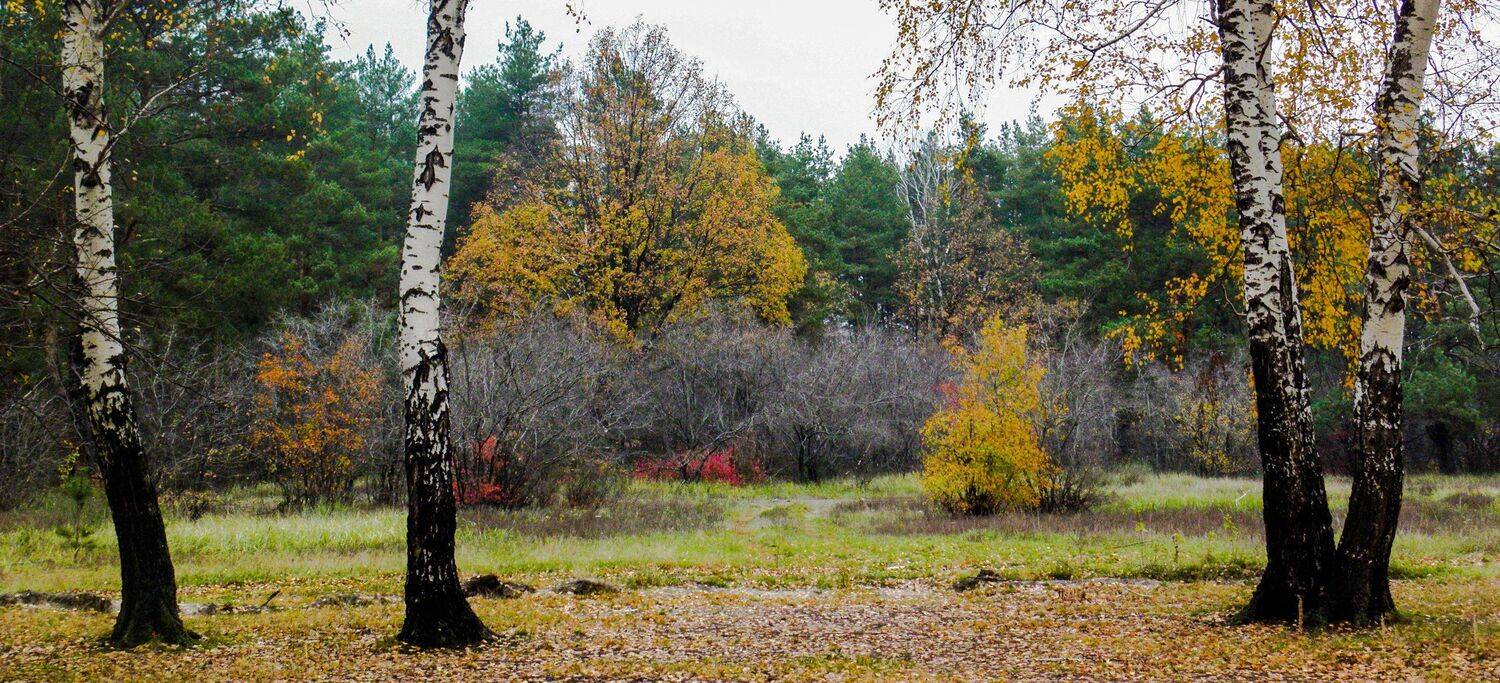 , Руслан Востриков