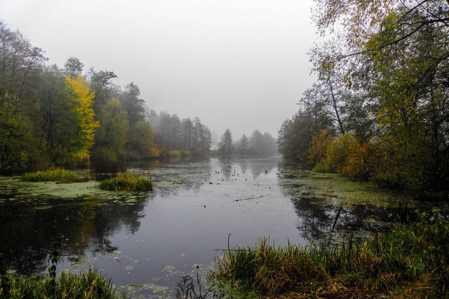 , Руслан Востриков