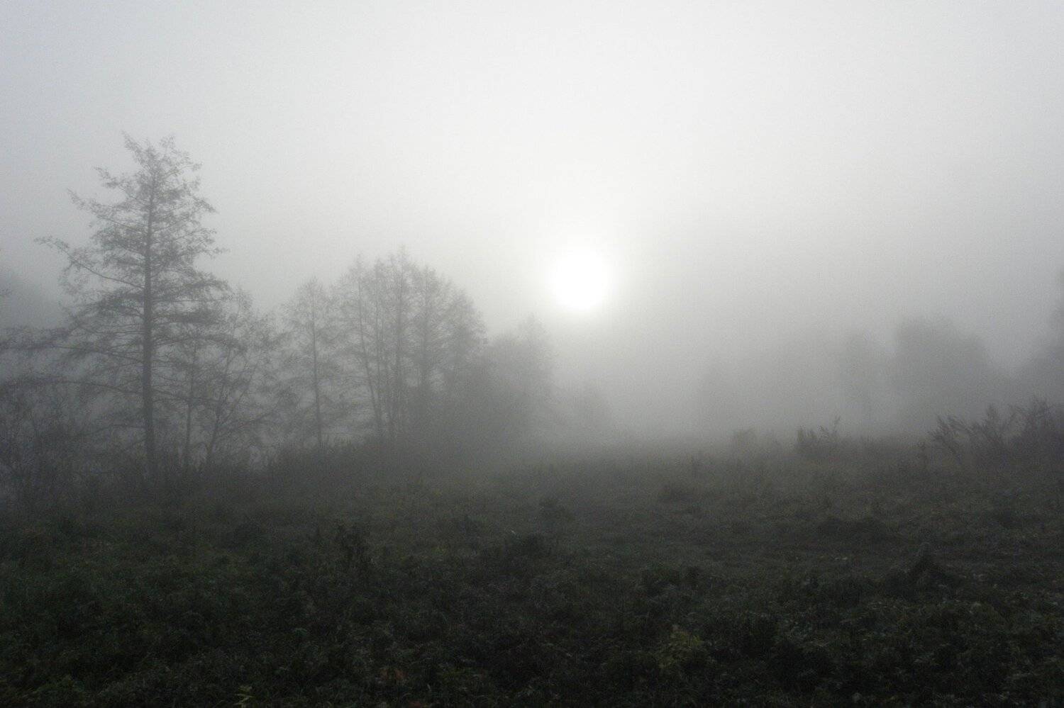 , Руслан Востриков