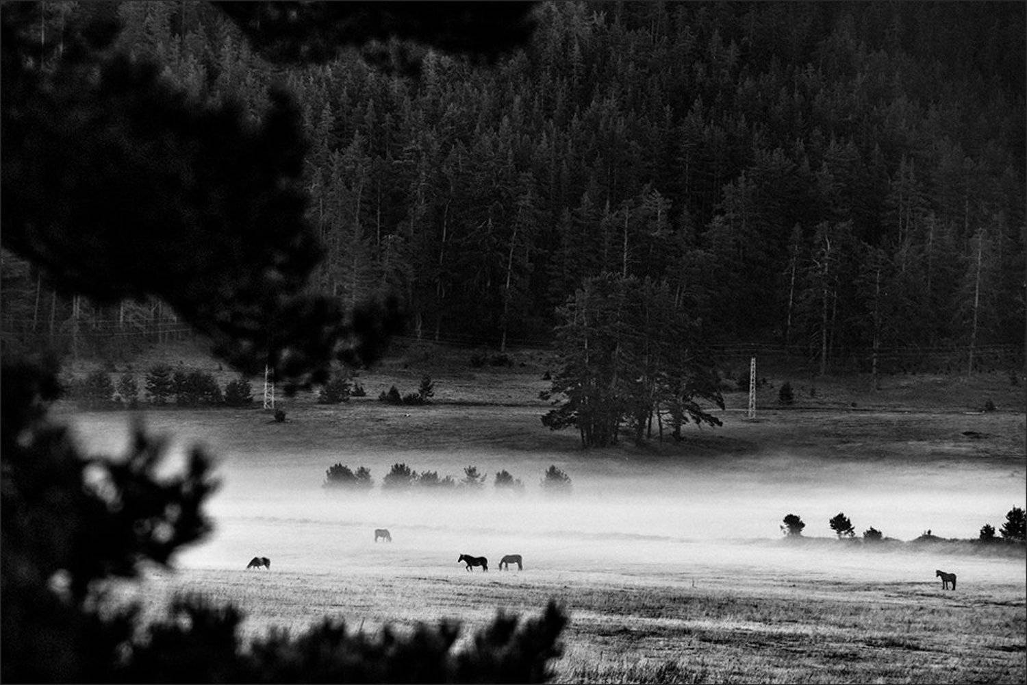 bulgaria, Denis Buchel (Денис Бучель)
