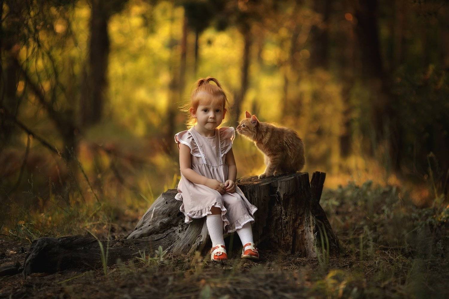 кот, рыжие, дети, Журавель Саша