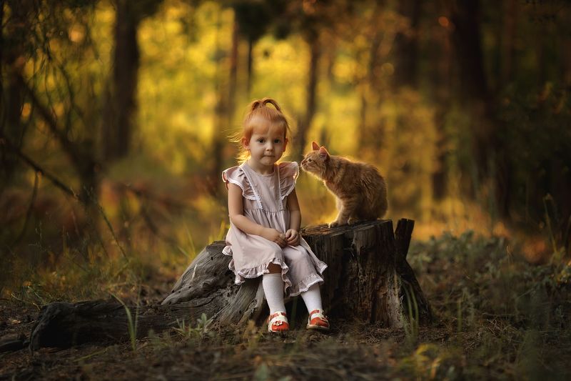 кот, рыжие, дети Мой новый друг, и мы похожи... фото превью