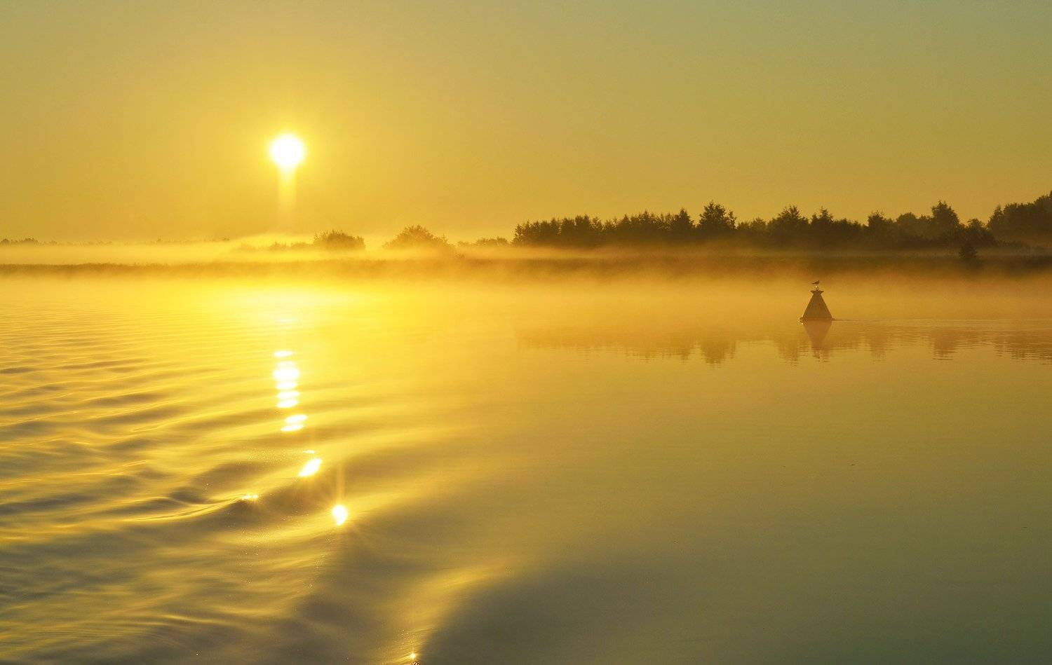 , Сергей Седов