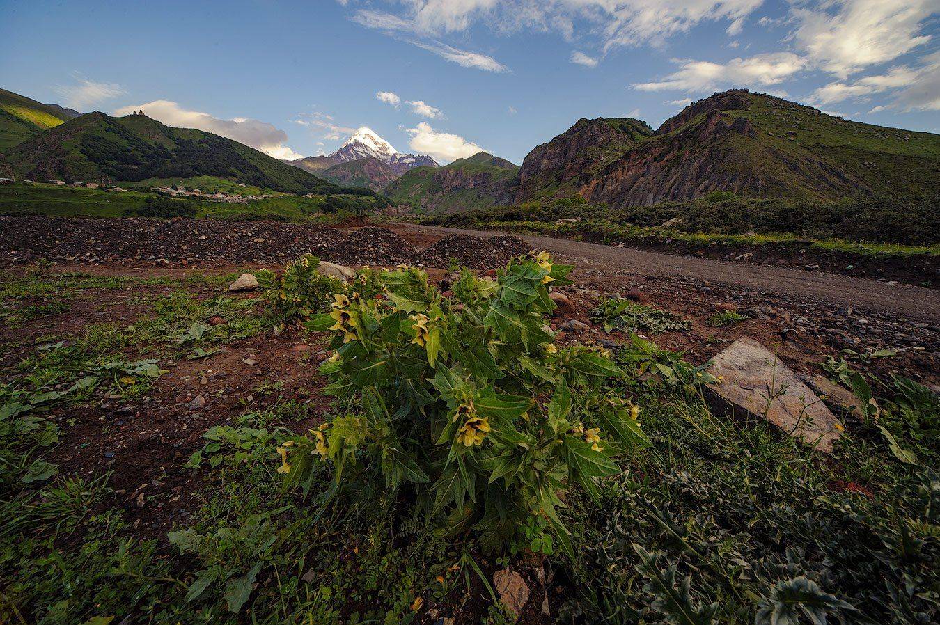 , Олег Логунов