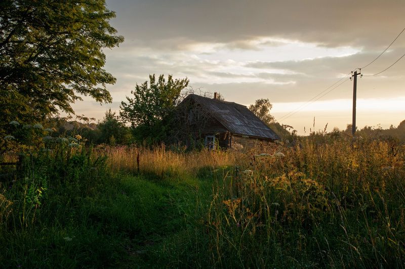 Ностальгия фото превью