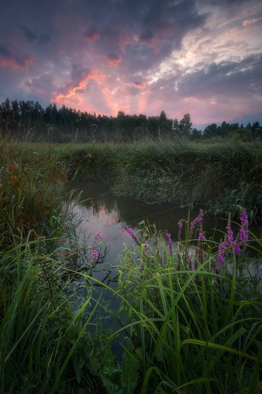 river, Maciej Warchoł