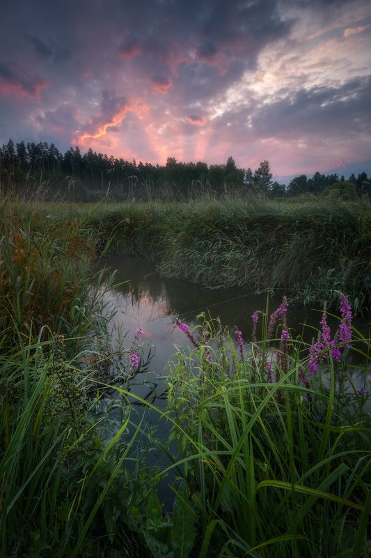 river Kinfisher\'s kingdom... фото превью