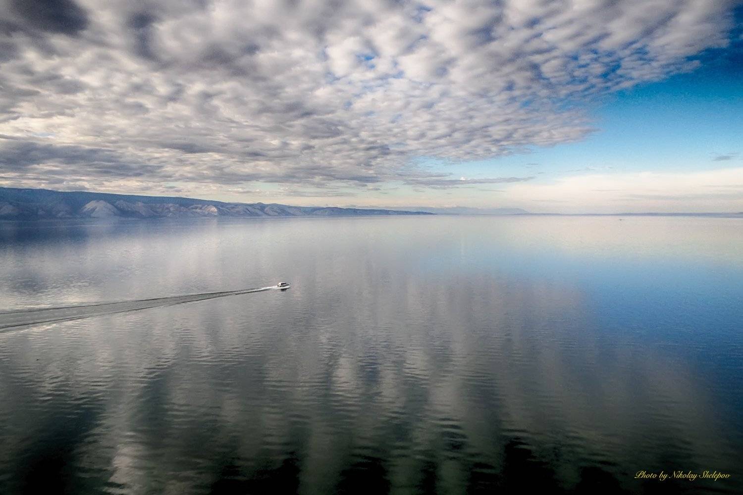 , Николай Шелепов