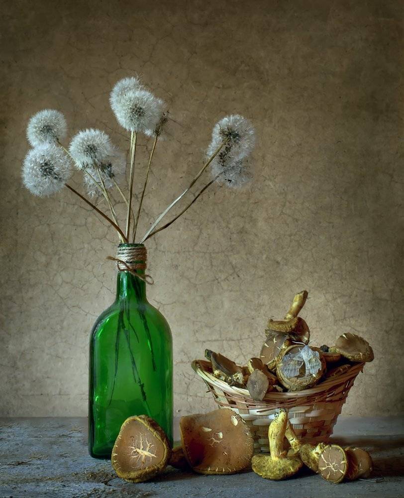 , Елена Брежицкая