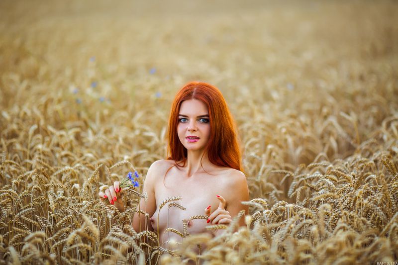 Пшеничка фото превью