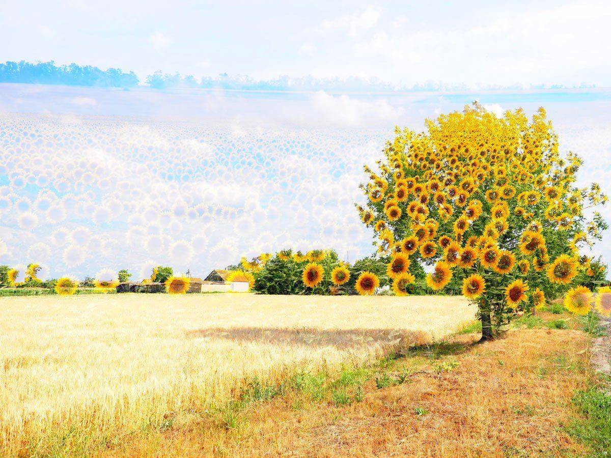 , Татьяна Аверина