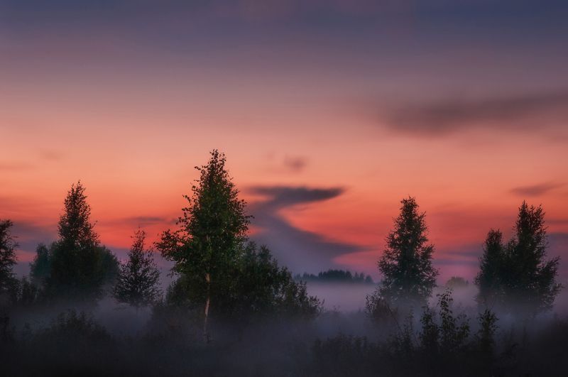 природа, закат, туман, солнце, пейзаж, nature, sunset, fog, sun, fog, landscape Дорога в небо фото превью