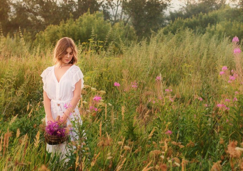 Полевые цветы фото превью