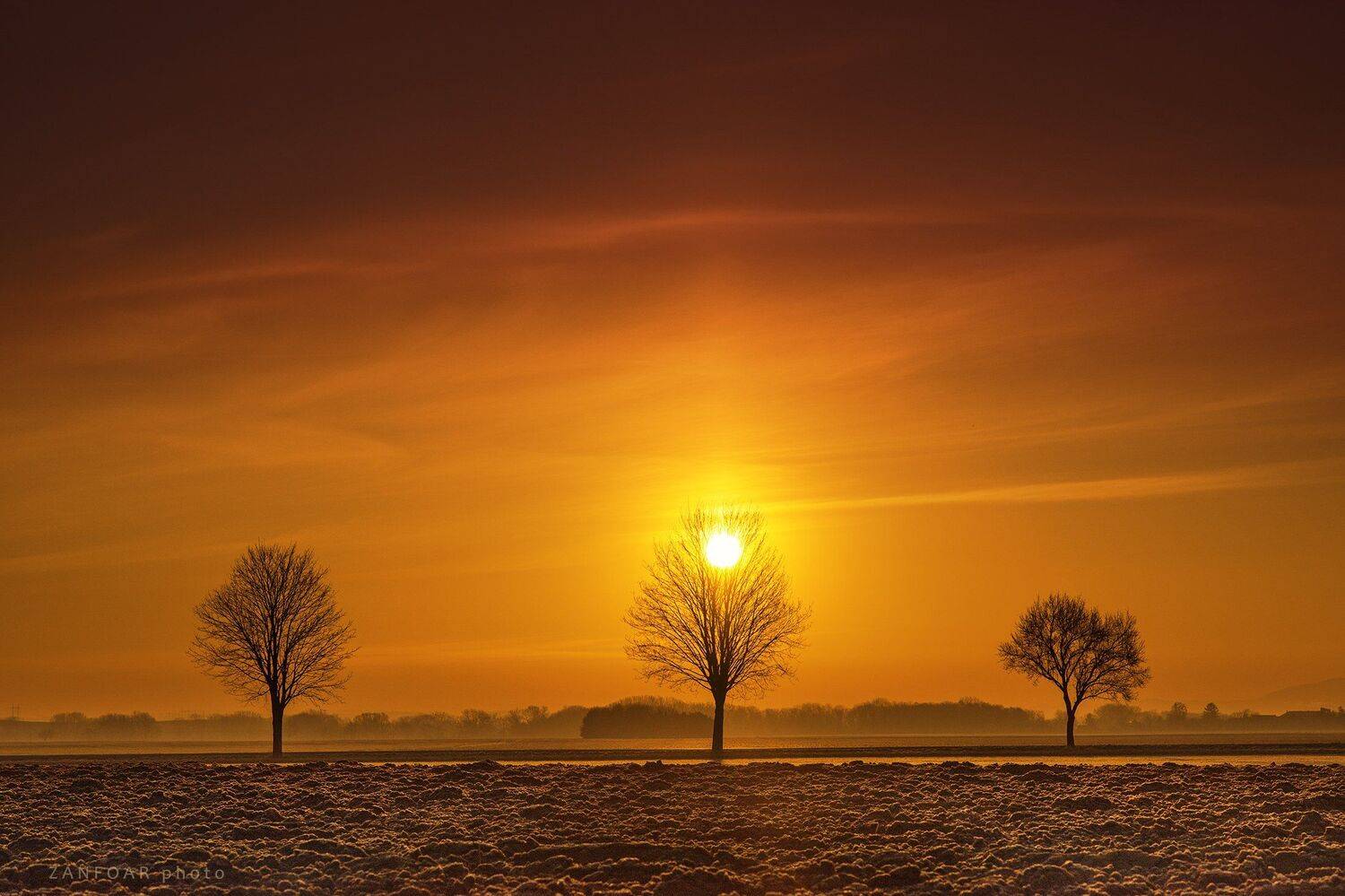 природа,  деревья,  дерево , лес , леса,  листья,  осень,  угрюмый,  настроение,  туманный , мгла , туман , туманный , ностальгический,  zanfoar,  чехия,  nikon d750,czech republic,чехия, Zanfoar