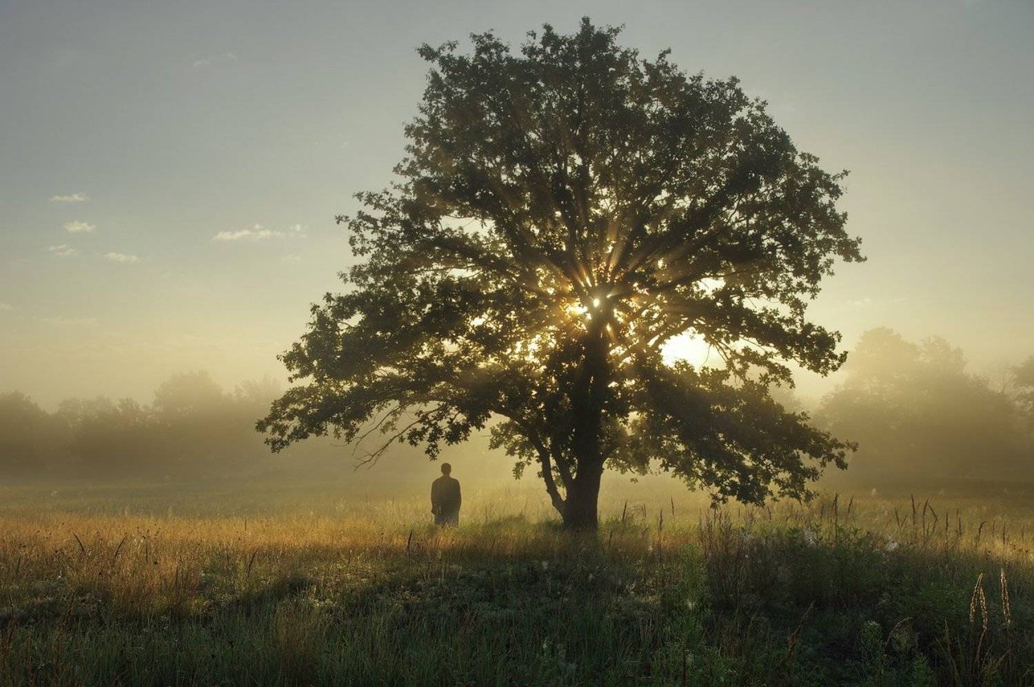 , Сергей Шляга