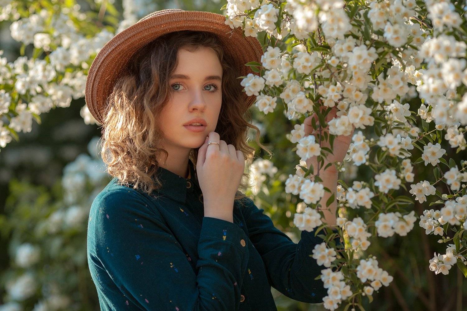 , Денис Котов