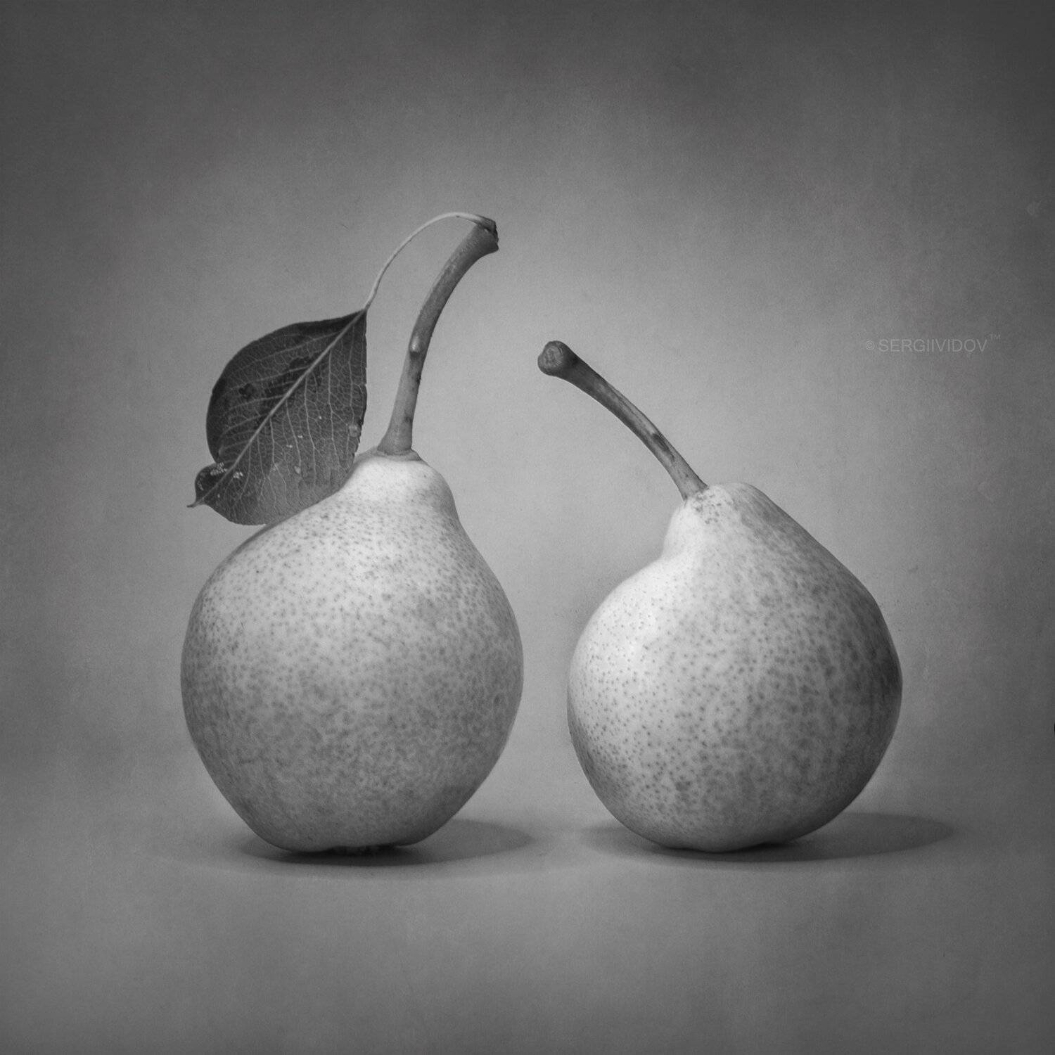 ч\\б, груша, Sergii Vidov
