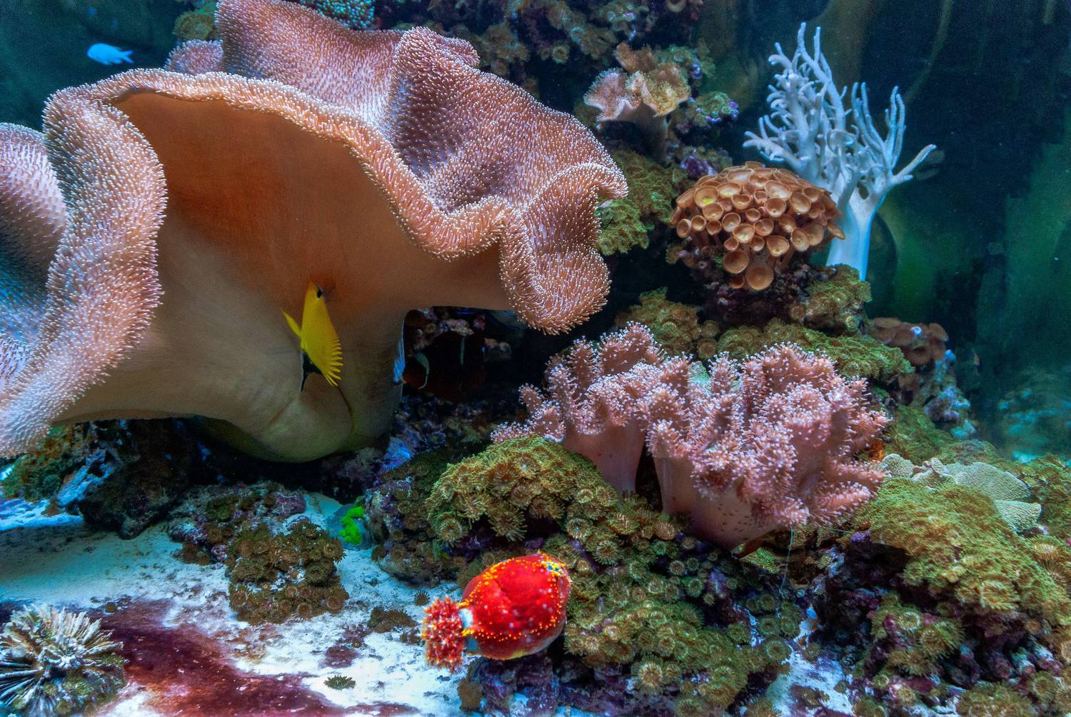 , Владимир Гамаюнов