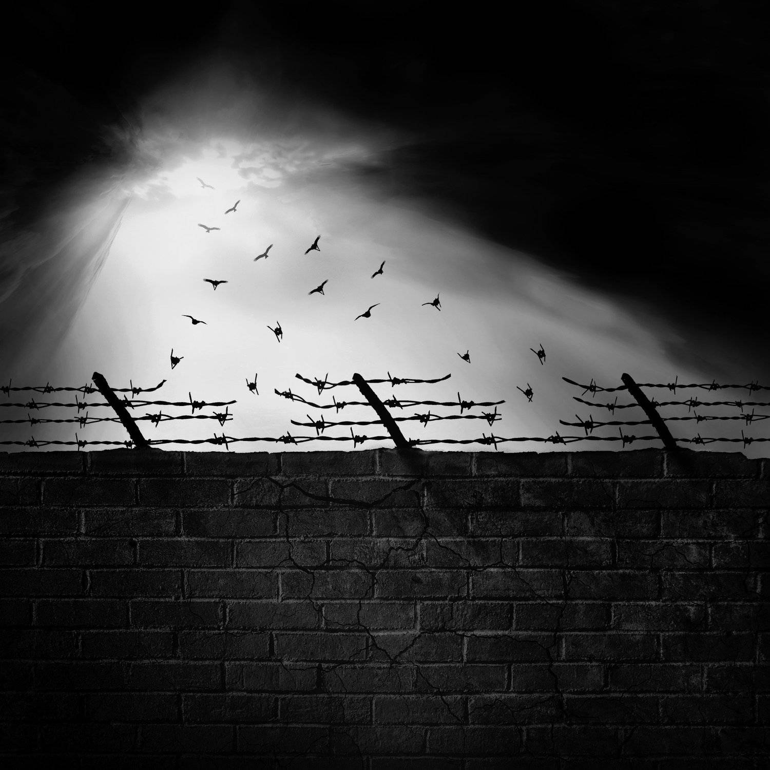 #35photo #surrealart#photoshop#ps_fantasy#art_minimal #bnw_dream #photography#minimalism#conceptual#fineart #instagram#ps_dreams#bnwminimalismmag#art_digital #ir_photographer#ir_aks#minimal#canon#blackandwhite#bnw#surreal#hadimalijani#art#fantastic_earth#, Hadi Malijani