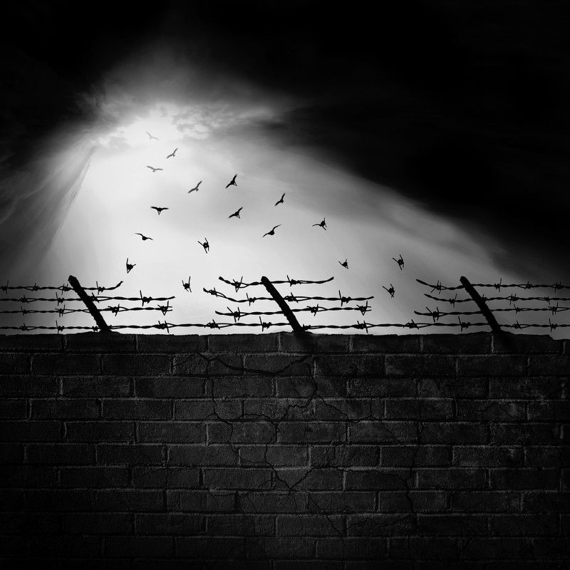 #35photo #surrealart#photoshop#ps_fantasy#art_minimal #bnw_dream #photography#minimalism#conceptual#fineart #instagram#ps_dreams#bnwminimalismmag#art_digital #ir_photographer#ir_aks#minimal#canon#blackandwhite#bnw#surreal#hadimalijani#art#fantastic_earth# Freedom фото превью