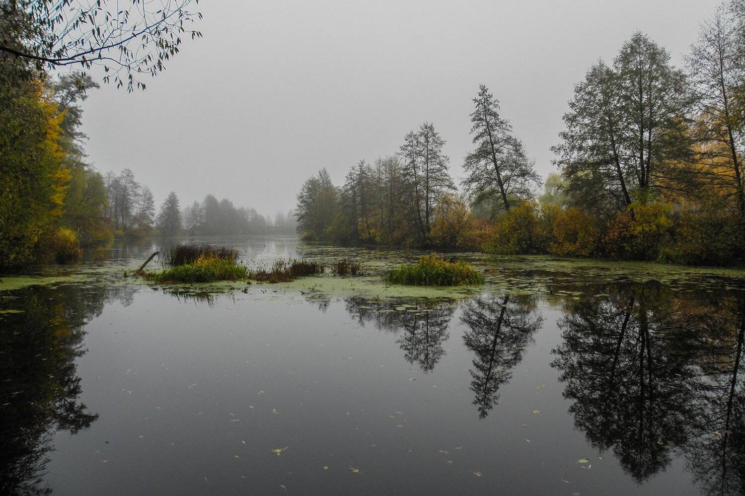 , Руслан Востриков