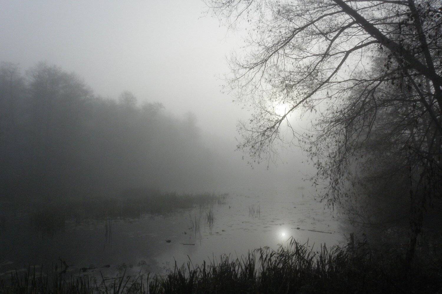 , Руслан Востриков