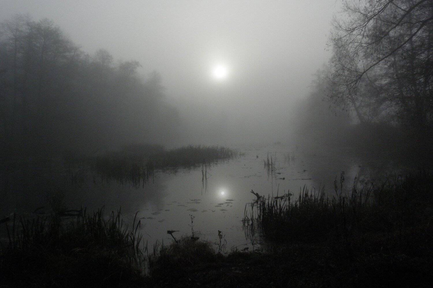 , Руслан Востриков