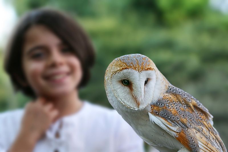 Falconieri in erba. фото превью