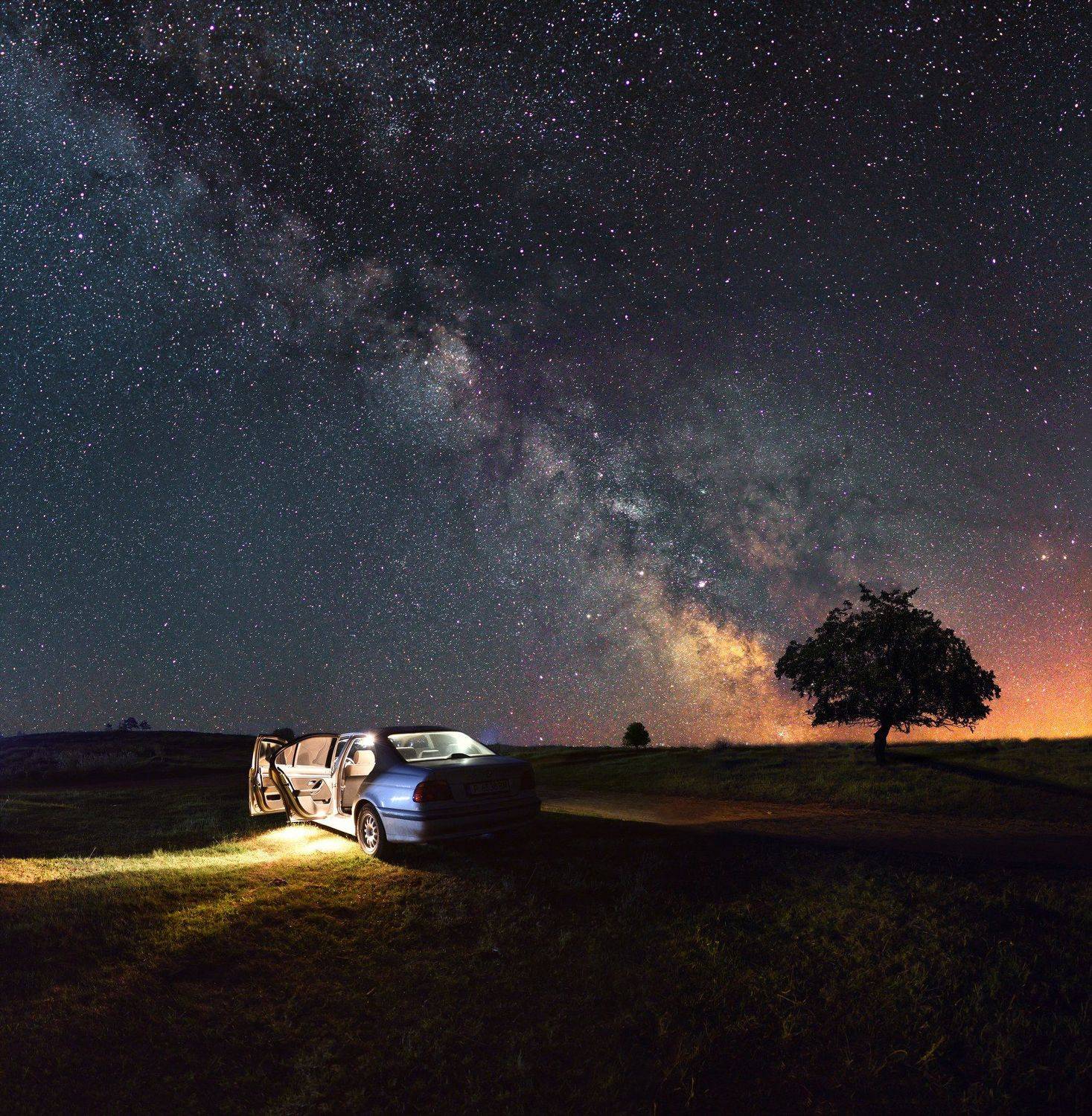 ceclii, nikon d3400, Tsvetan Ganev