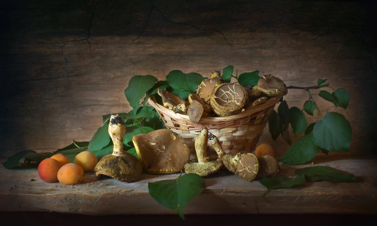 , Елена Брежицкая