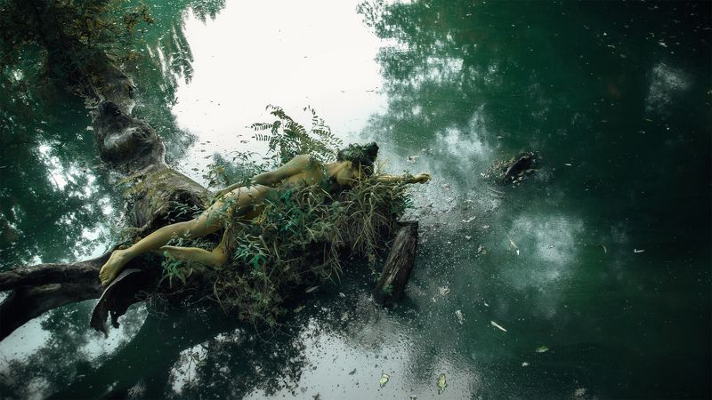 girl, naked, water, grass, nymph, mermaid, silence, body, swamp, nature, russia, девушка, голая, вода, трава, нимфа, русалка, тишина, тело, болото, природа, россия Тина фото превью