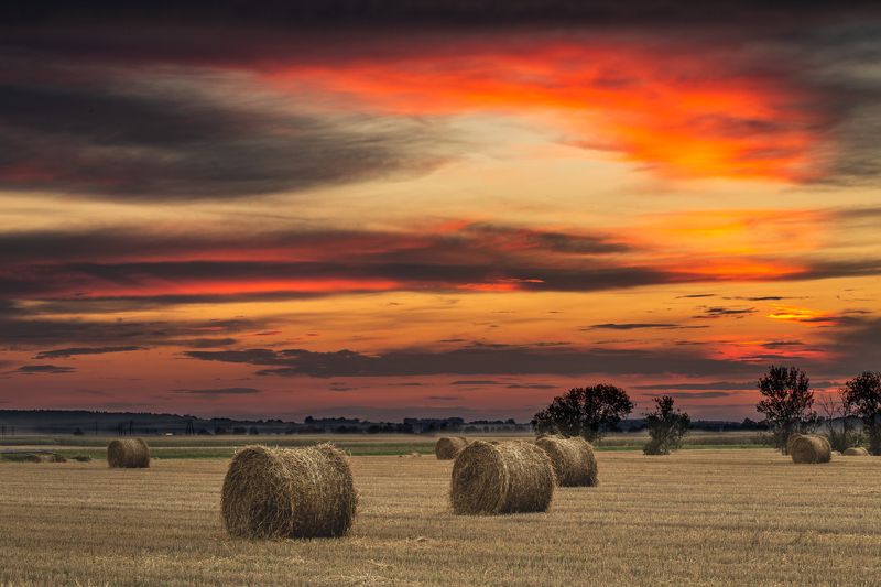 landscape, poland, hay, sunset Harvest time фото превью