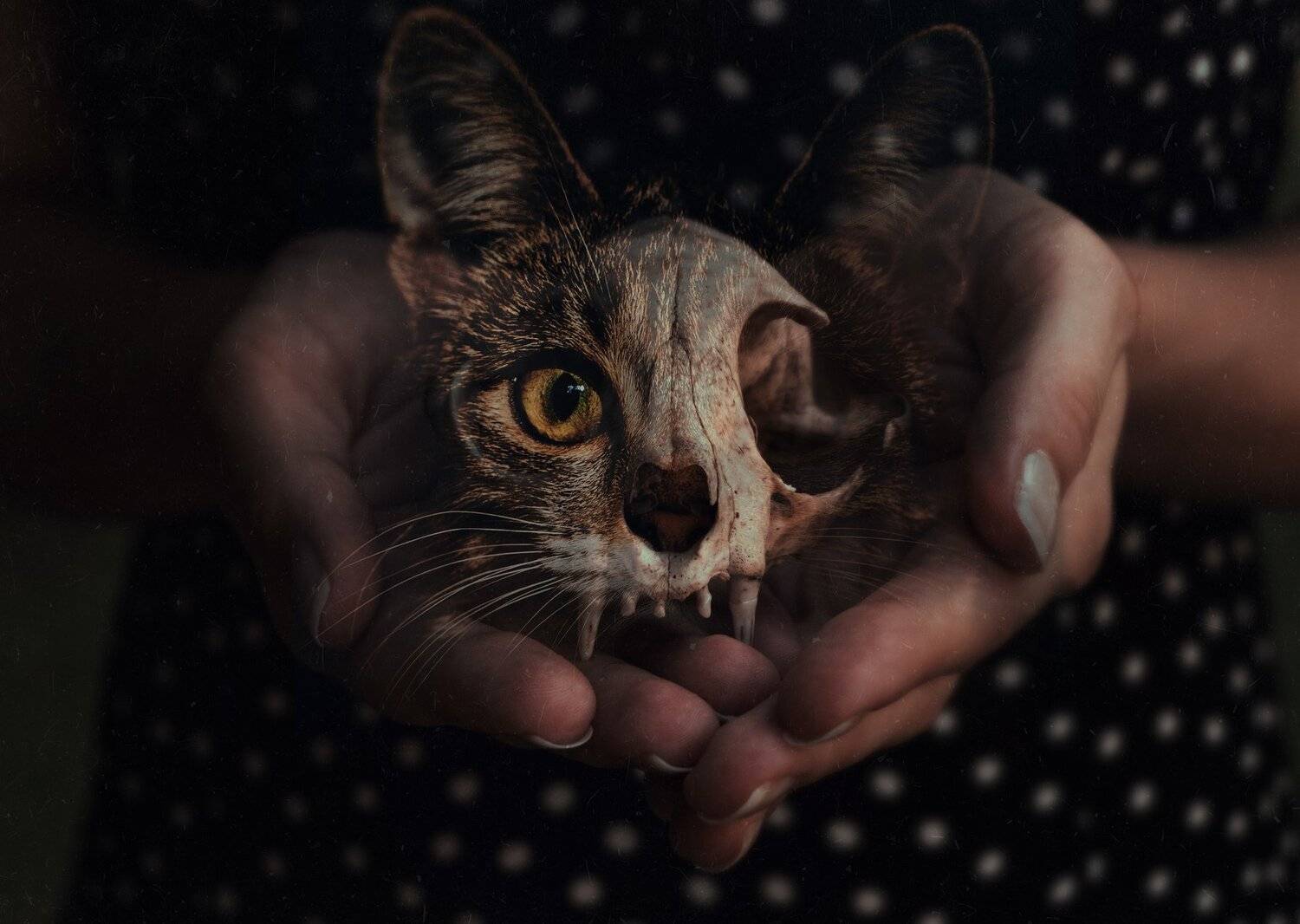 , Виталий Гуляев