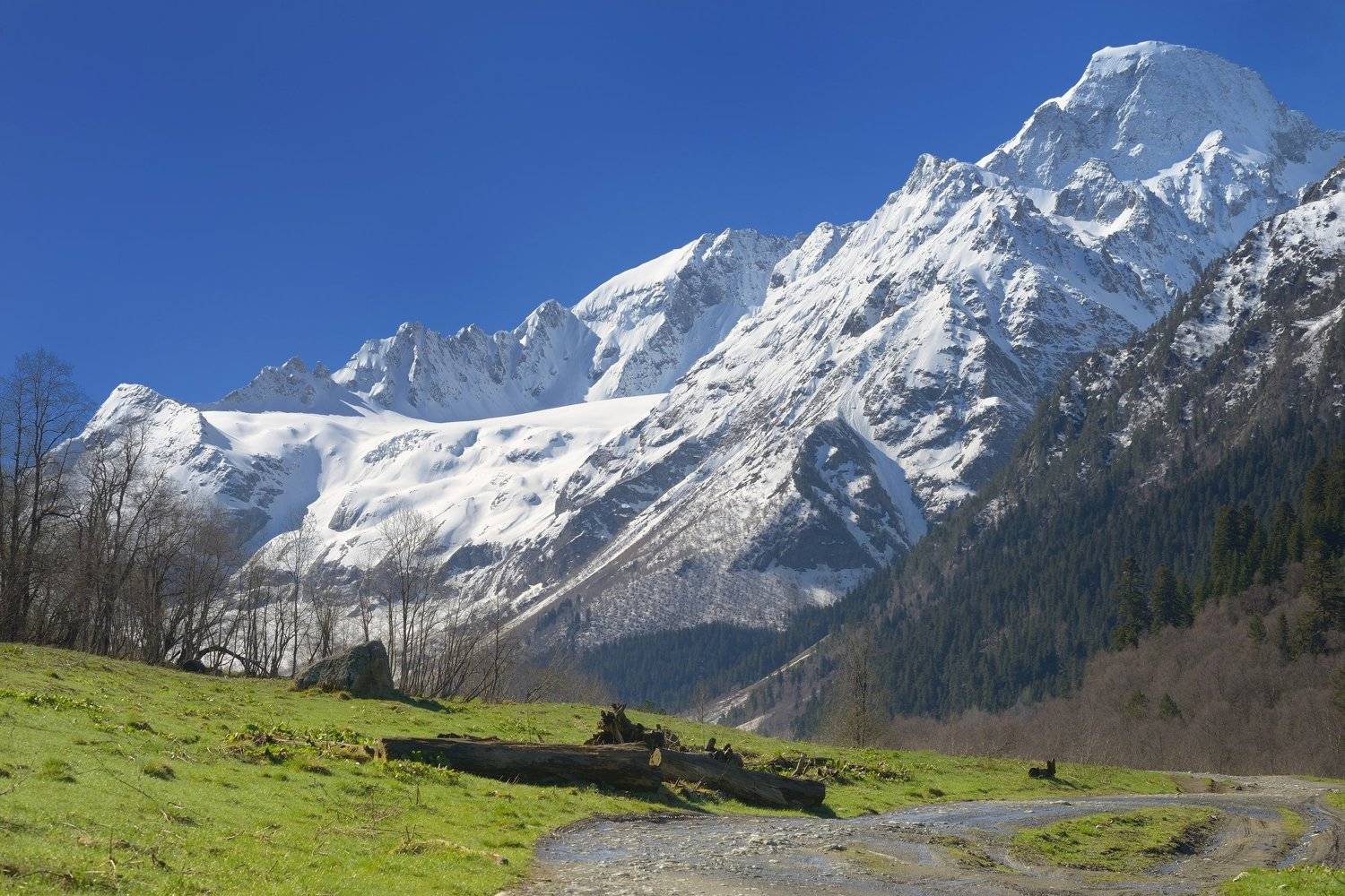 горы весна кавказ архыз, Александр Жарников