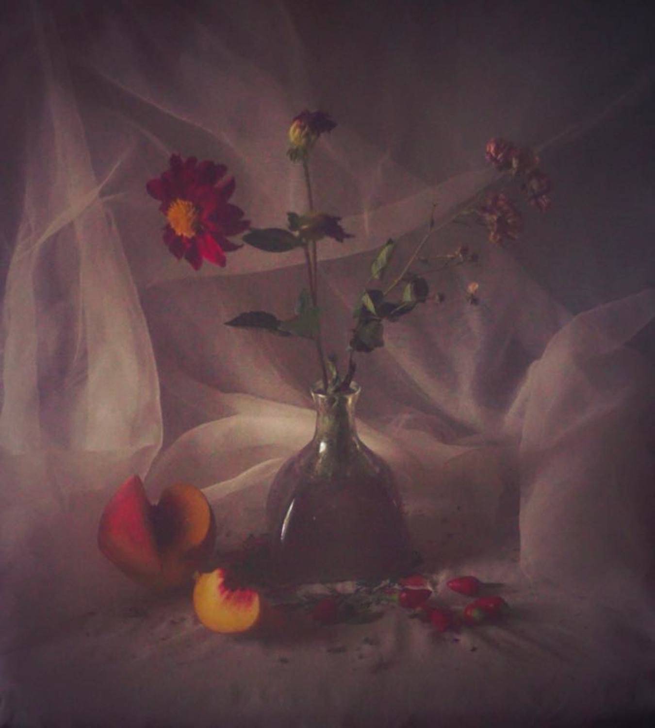 stillife, mustafa yagci