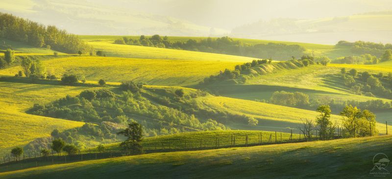 пейзаж, природа, поле, моравия, чехия Моравские дали фото превью