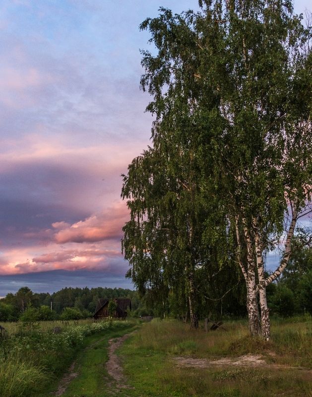 *** фото превью