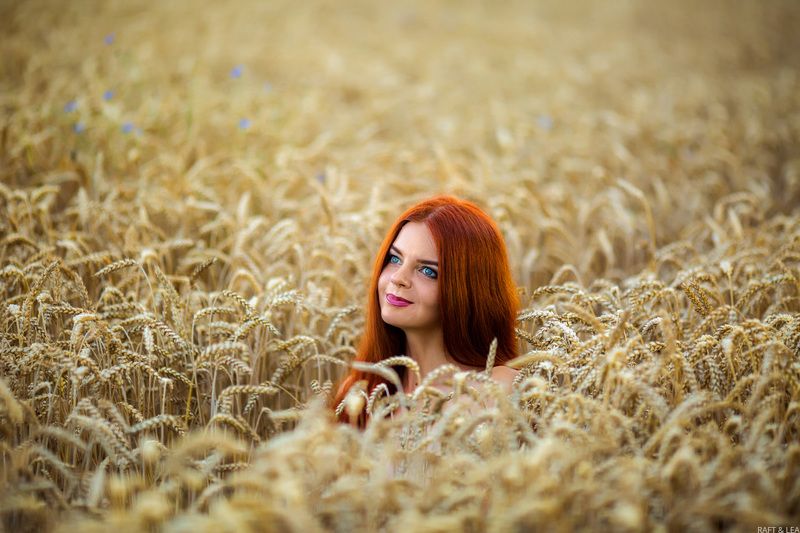 Пшеничка фото превью