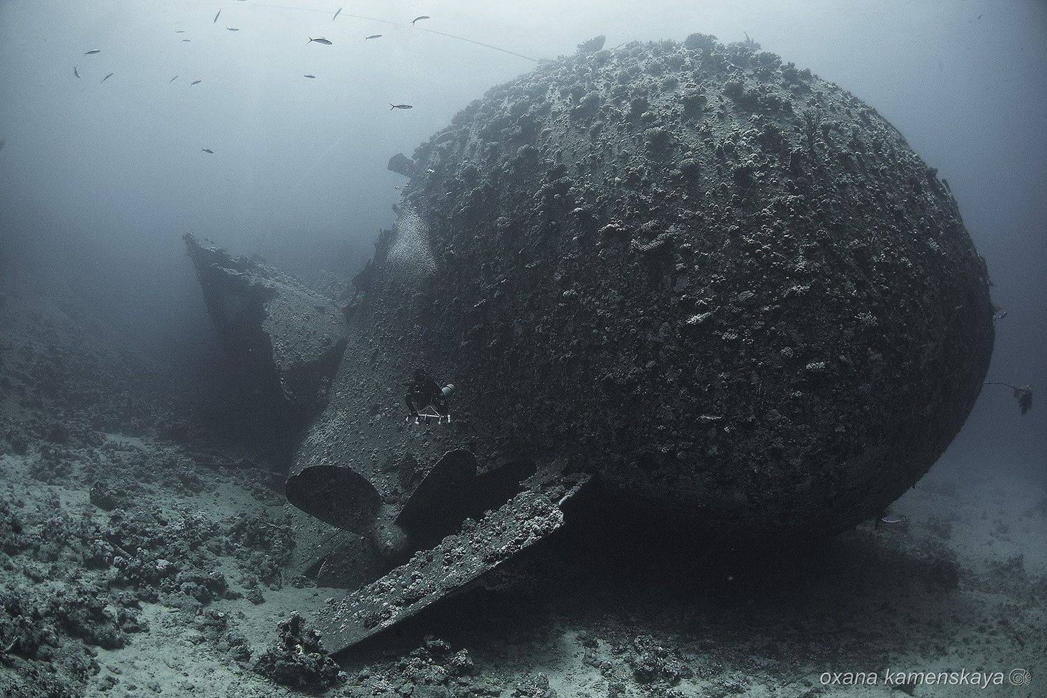 wreck Marcus underwater tile , Оксана Каменская