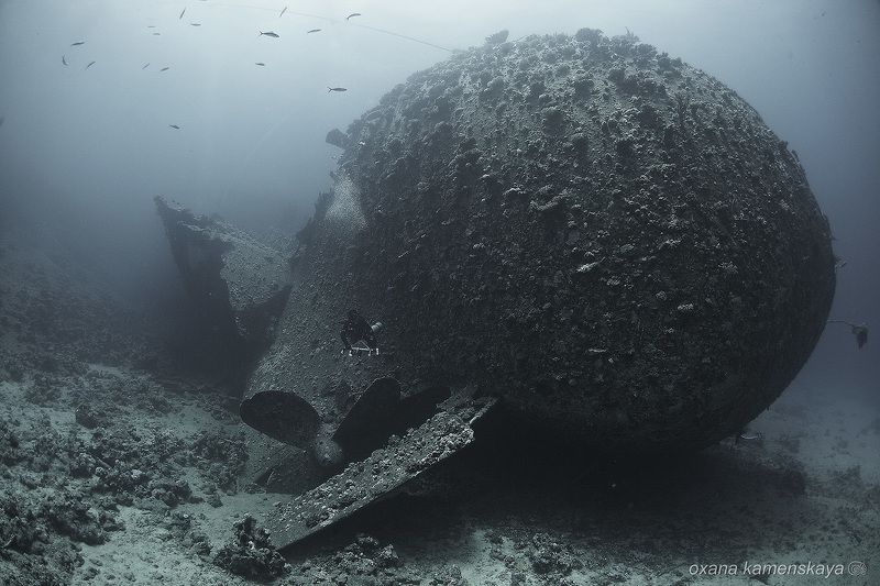 wreck Marcus underwater tile  MV Marcus #2 фото превью