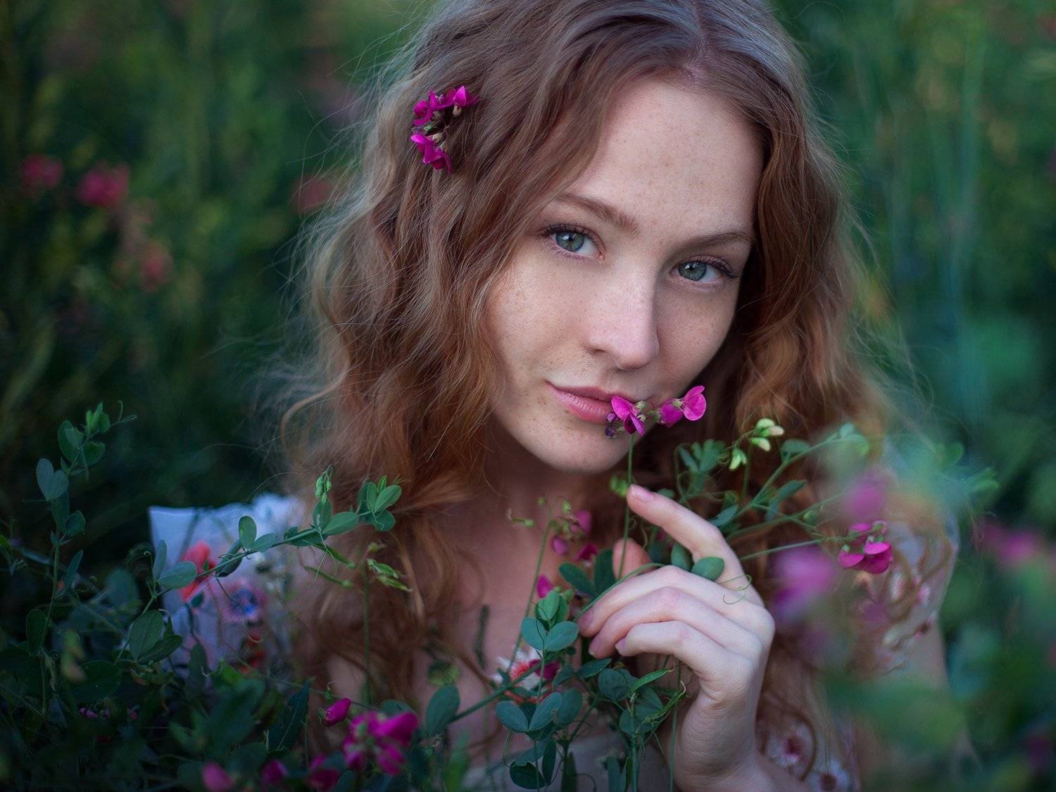 , Денис Котов