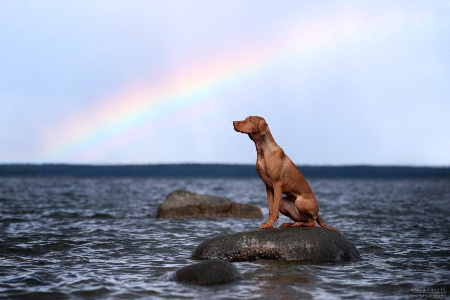 , Надежда Иванова