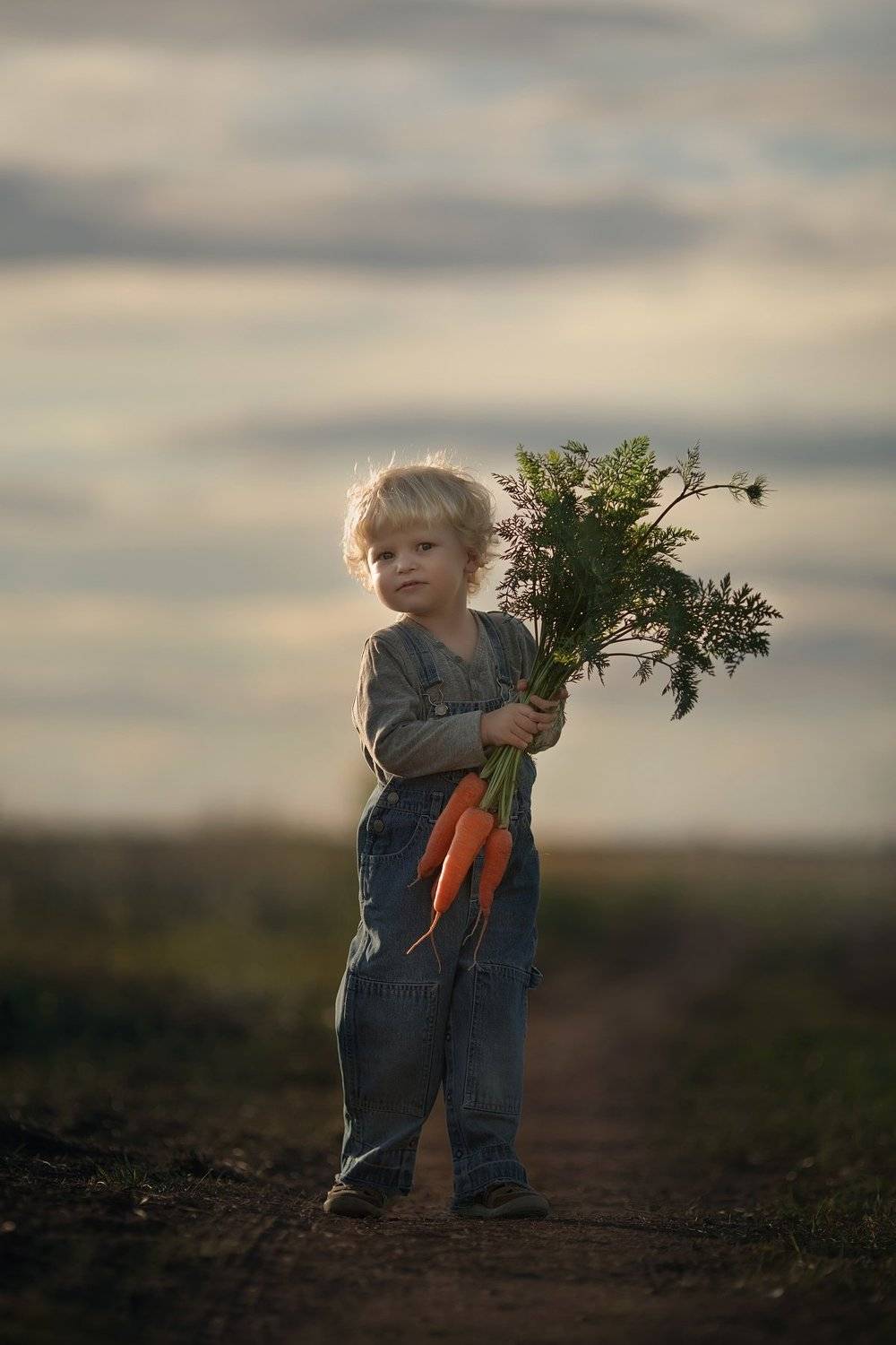 ребенок, поле,закат,деревня, Журавель Саша