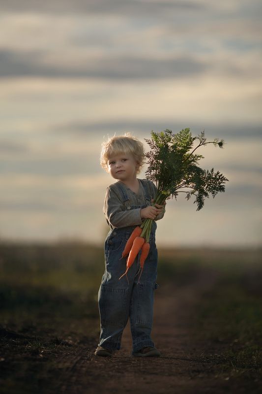 ребенок, поле,закат,деревня Фермер фото превью